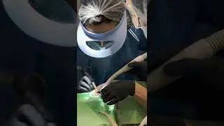 Стоматология . Гигиена полости рта
