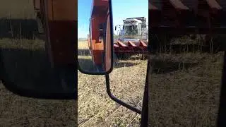 #agro