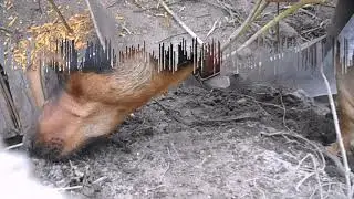 Это нам не задавали