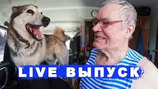 Добрые походы | Live Выпуск | Батя | Дымок
