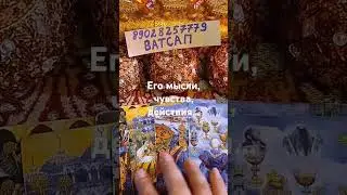 25 сентября 2024 г.