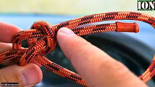 Amazing Knot You Don't Know