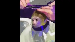 randoms in blue