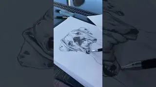 Traditional Pencil Pet Portrait (& a chat about my traditional art background!)