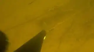 Волгоград! Точный выстрел в Голову!!!