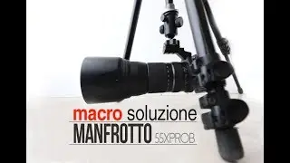 macro fotografia con Cavalletto Manfrotto 055XPROB