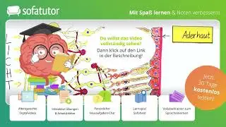 Aufbau der Netzhaut Biologie – inkl. Funktion von Nerven- & Lichtsinneszellen