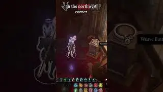 Insane damage with this LEGENDARY Markoheshkir staff 