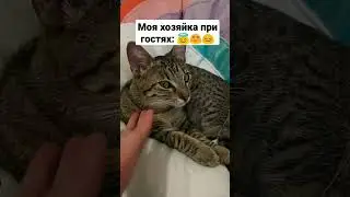 идти спаааать!!!!!!!!!