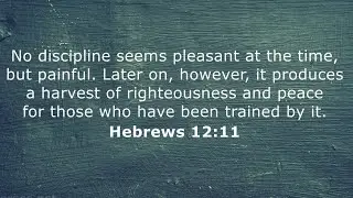 Hebrew 12:11
