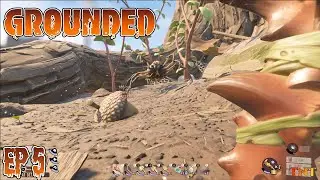 Grounded EP 5 - Ladybugs, Beetles, and Spiders! Oh My!