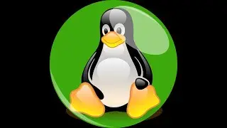 Cómo solucionar el error 'Could not get lock /var/lib/dpkg/lock' en Debian y Ubuntu