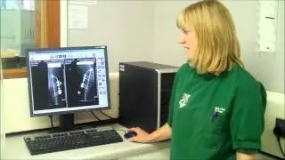 Advantages for vet practices of moving from chemical to digital X-ray video