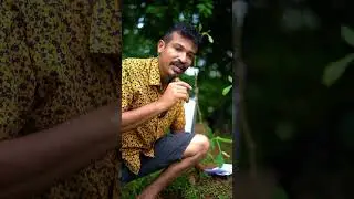 බොන වතුර වල ප්ලාස්ටික් කෑලි තියෙනවා කියලා දන්නවද?
