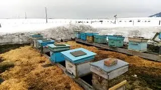 Выставил пасеку 29 03 21