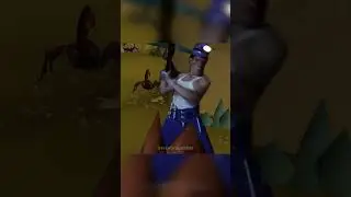 mining xd