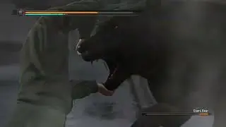 Saejima punches a giant bear