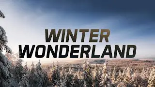 WINTER WONDERLAND