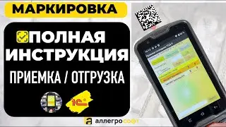 Маркировка Честный Знак в 1С | Инструкция по работе с ТСД