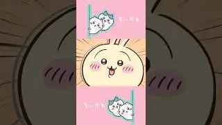 ちいかわ　うさぎのご機嫌散歩 1分 Version