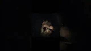fluxxwave - FNAF Movie Edit #shorts