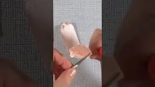 The secret of my flower petals 