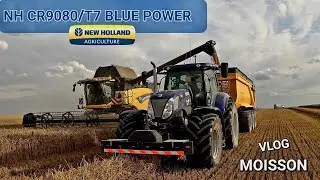 VLOG MOISSON 2023 (BLÉ) : NH CR 9080/T7 BLUE POWER.