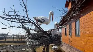12 апреля. Снег на участке, лёд на реке.