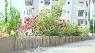 Tirupati International School