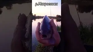 р. Матросовка #shorts