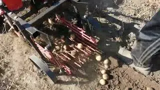 Копка картофеля мотоблоком Нева