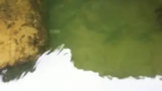 Ловля бычка на седобный селикон.
