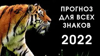 Прогноз на 2022-й год для каждого знака зодиака
