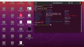 Basic Linux Commands