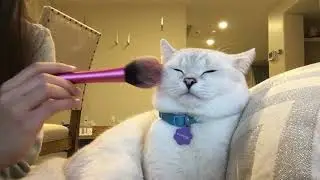 But first lemme put on my make up