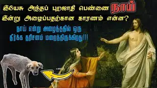Is that a Gentile woman? Tamil Bible study|Grace city church