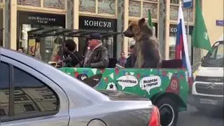 Медведь в Москве ТУРИСТЫ В ШОКЕ!!! ЧАСТЬ 2!!! Полная версия