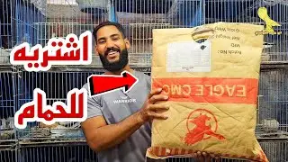 لو بتربي حمام لازم تشتري ده دلوقتي