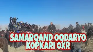3 февраля 2022 Samarqand oqdaryo kòpkari oxr