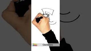 Clembrane invader zim drawing #shorts