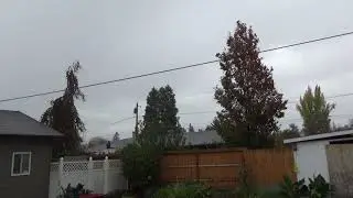 What Oregon weather is like starting in November
