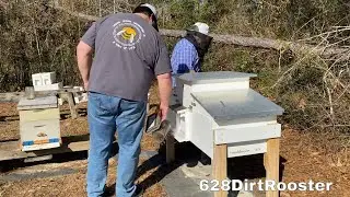 First Long Hive Inspection of Spring With Dad