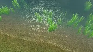 AQUAS 2020 Tutorial - Making Shoreline Effects