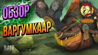 Raid SL | Обзор и полный тест Вергумкаар | Axeless