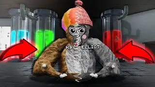 Two Players Control One Monkey in Gorilla Tag...