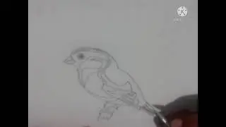 Qush rasmini chizish 🐦 | Oson rasm chizish