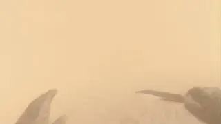 I got revenge