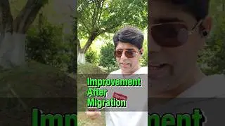 Improvement Exams After Migration | Migration k bad improvement kr sakty hn | Taleemi Khabrain