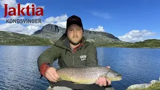 Ørretfiske i Vinstre!