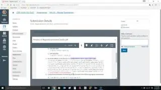 Regex Critique